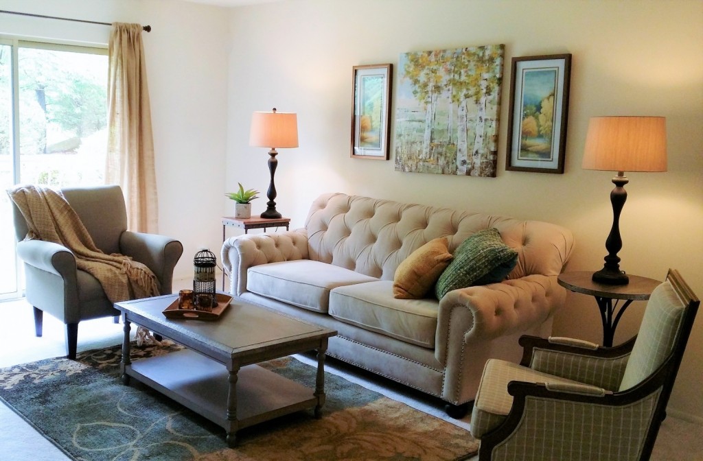 Staging for Apartment Living Room | Delaware Valley | Distinctive Interior Designs